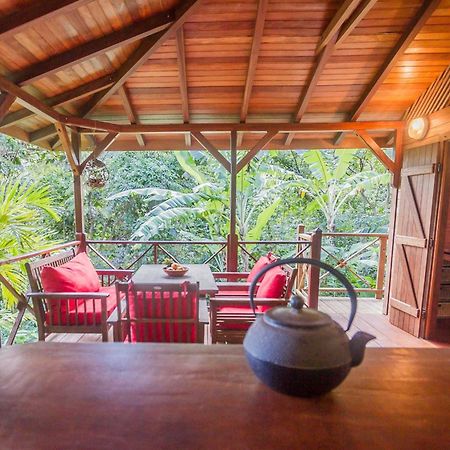 Ecolodges Karet Deshaies Bagian luar foto