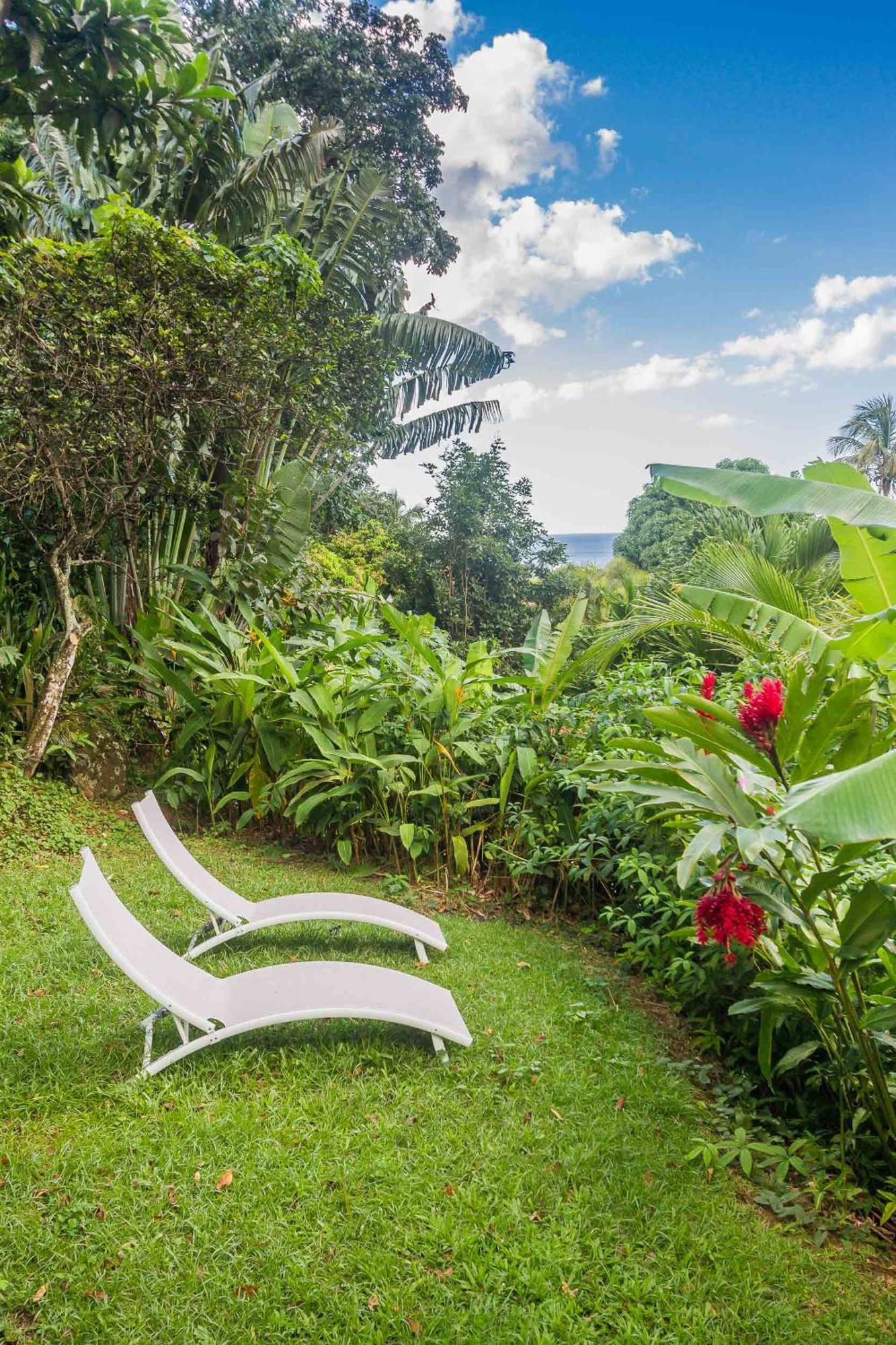 Ecolodges Karet Deshaies Bagian luar foto