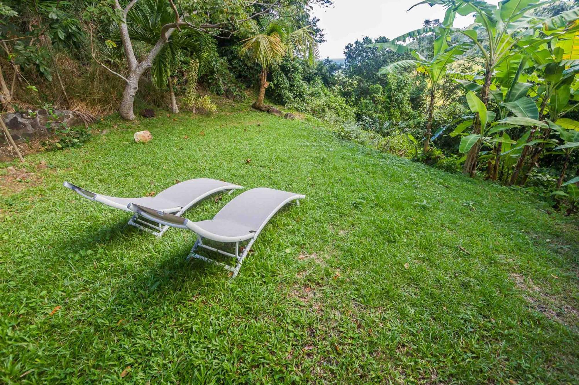 Ecolodges Karet Deshaies Bagian luar foto