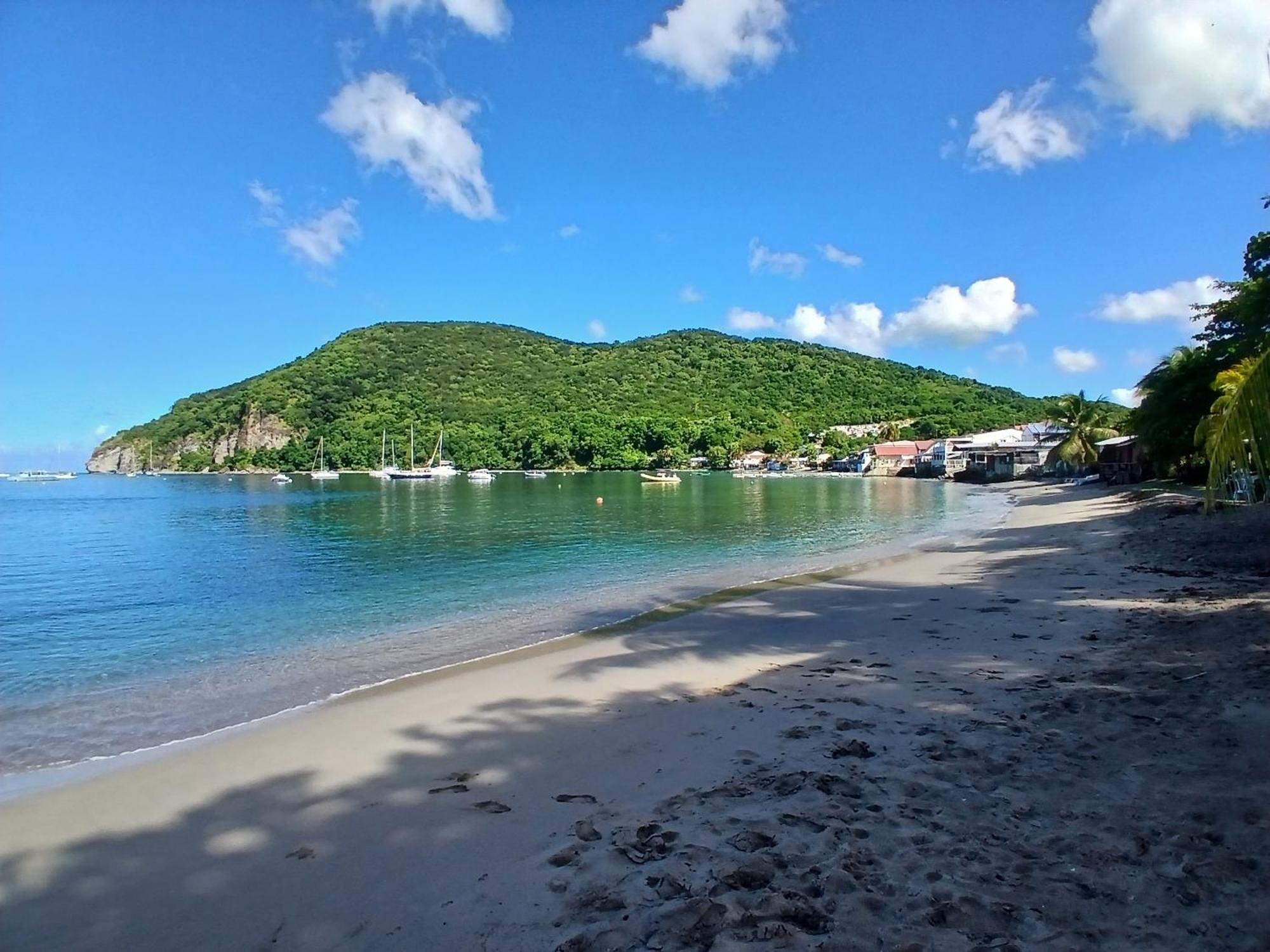 Ecolodges Karet Deshaies Bagian luar foto